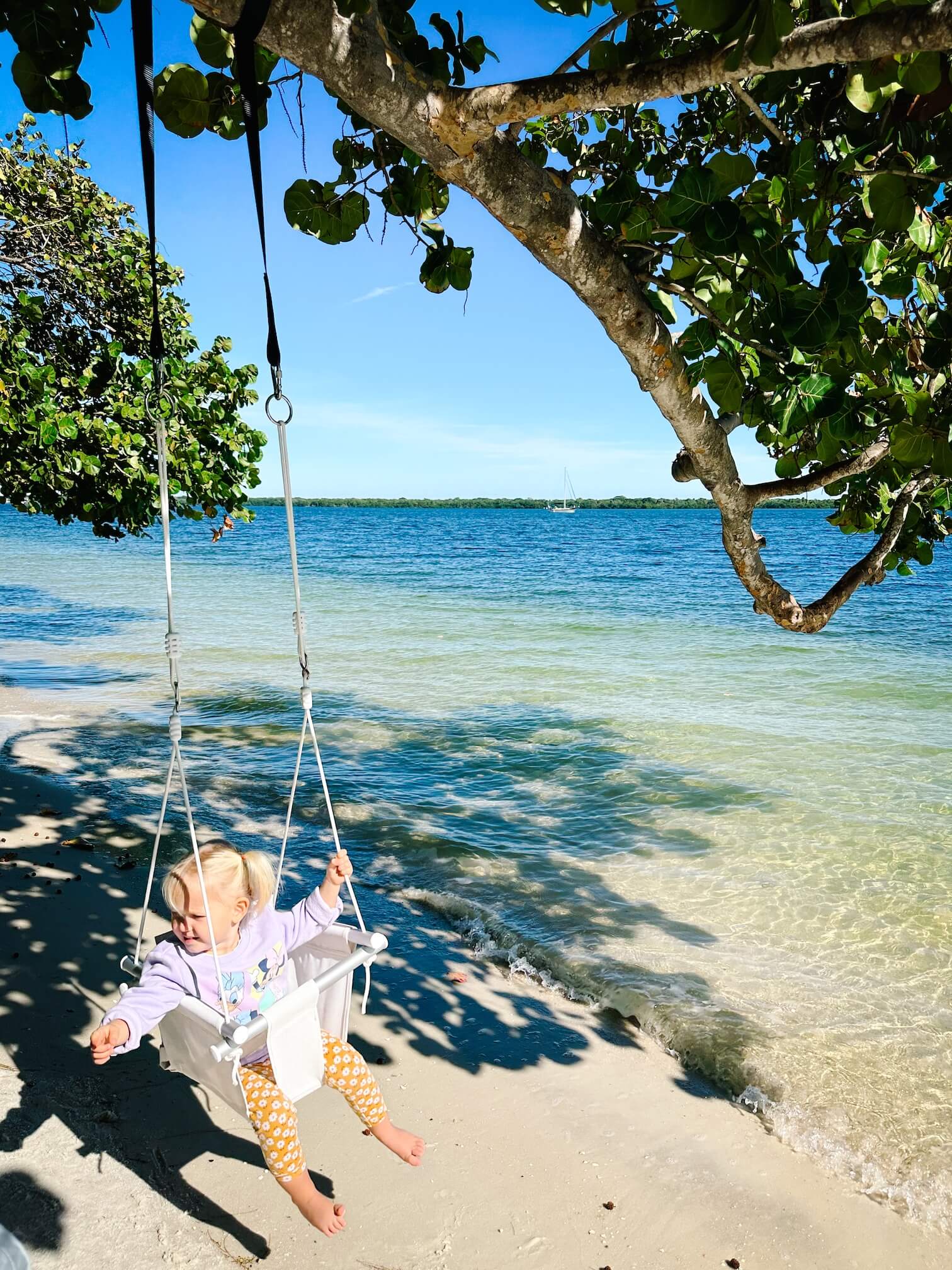 Child on a swing by a tree at the beach with clear blue water and sky.
